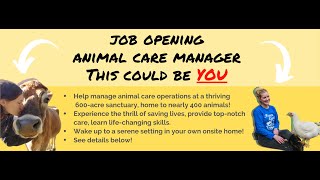 Now Hiring: Animal Care Manager by AnimalPlace 972 views 3 years ago 1 minute, 23 seconds