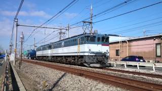 配6794レ EF65-2087+EF65-2093+貨車