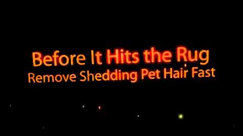 Dyson Dc4 Review- An honest Dyson Animal REVIEW