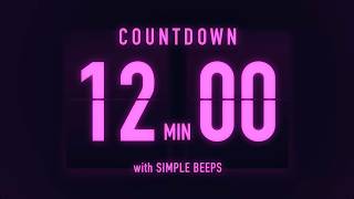 12 Minute Countdown Timer ⏳ Flip Clock with Low Beeps Every 5 Minutes 🟣