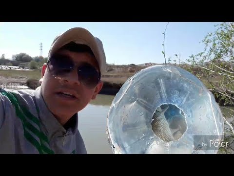 Video: Olta Olmadan Nasıl Balık Tutulur