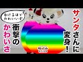 【激かわ！】ライナがはじめてユニフォーム以外の服をきたら！？【早めのメリークリスマス】