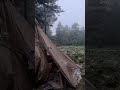 Embracing the damp.   #rain #camp