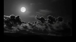 wifiskeleton-Nope your too late I already died (1 Hour Loop)