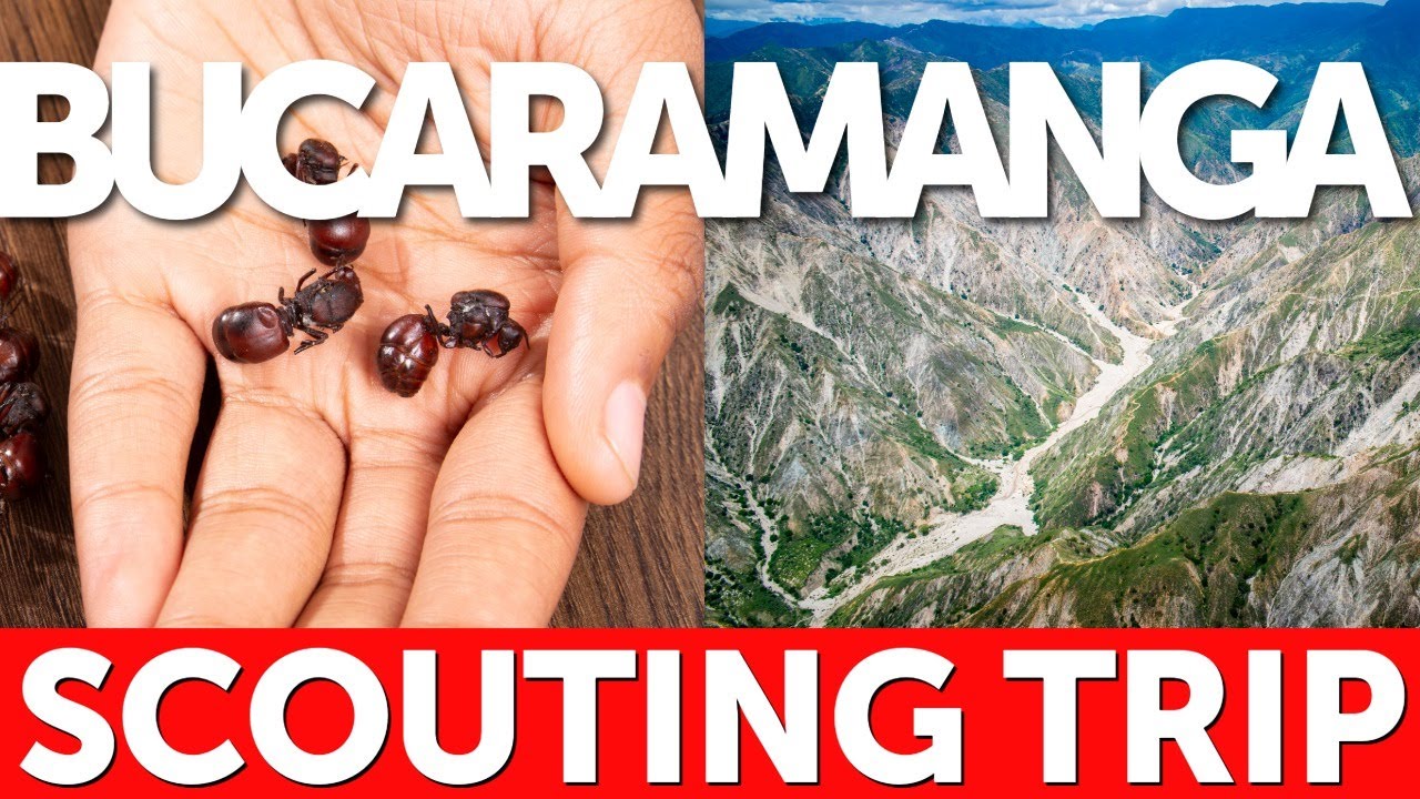 Is BUCARAMANGA The BEST Kept Secret in South America?