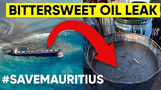 THE BITTERSWEET STORY OF THE WAKASHIO MAURITIUS OIL SPILL | DISASTROUS OIL LEAK IN MAURITIUS