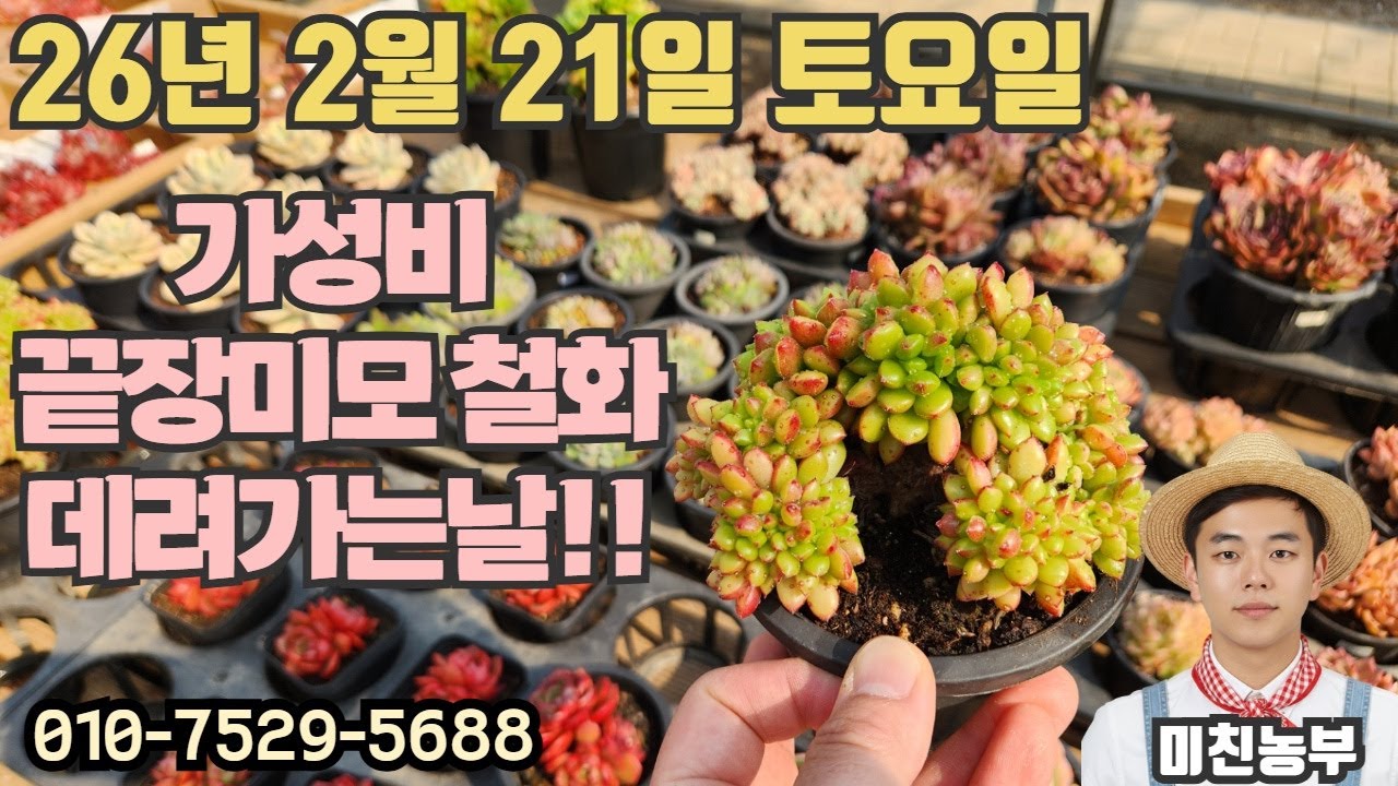 2026.2.21 미친농부 라이브 #다육#다육이#succulent#crazyfarmer