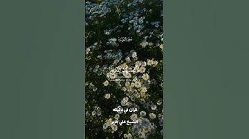 قران كريم ارح قلبك وسمعك #قران #المصحف #quran #علي_جابر #راحة_نفسية @قران_في_دقيقة #الرحمن