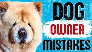 3 Mistakes Dog Owners Make | Before-During-After Puppy Gotcha Day by The Wolf and Bears 52 views 8 months ago 6 minutes, 14 seconds