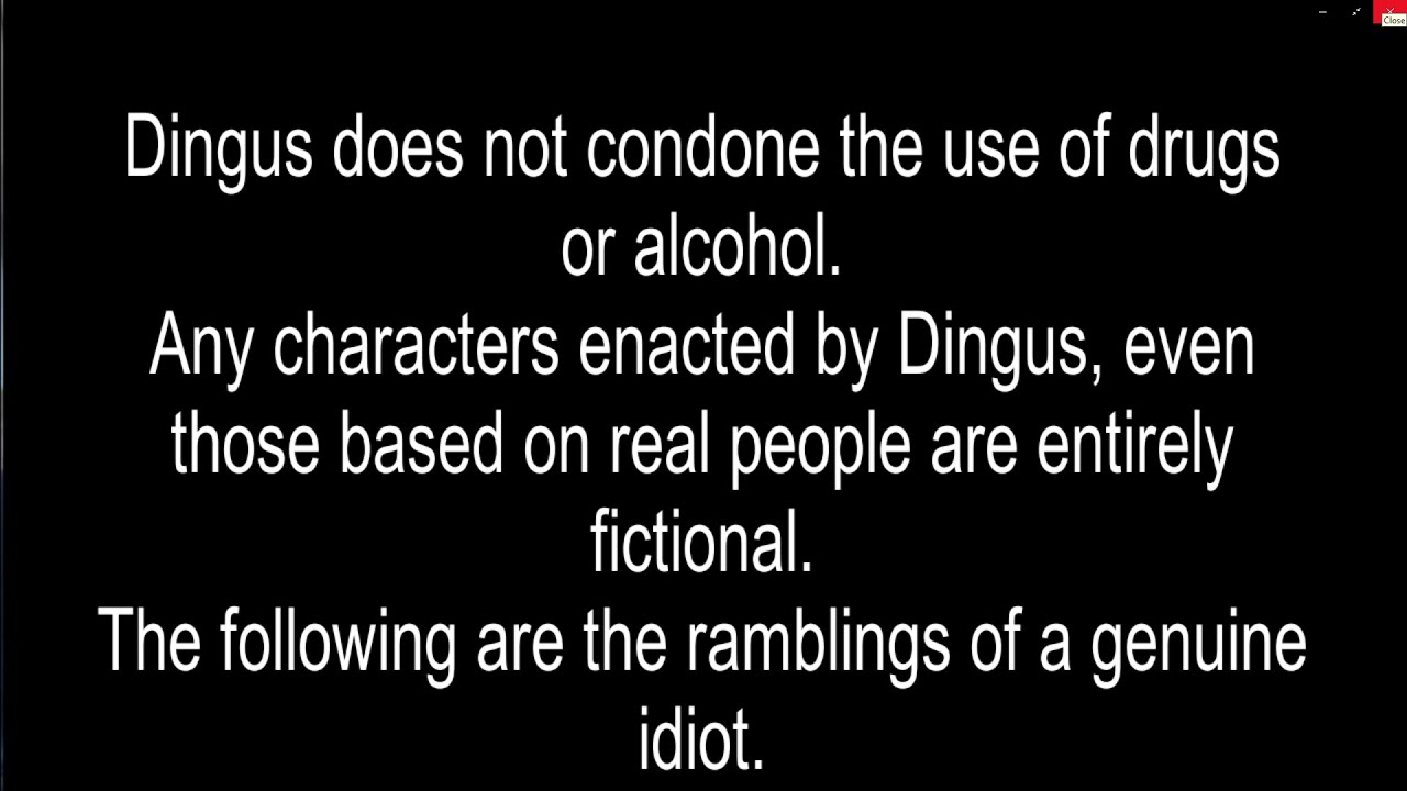 A Dingus Introduction - YouTube