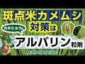 斑点米カメムシ対策はアルバリン粒剤