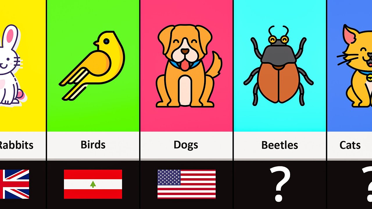 Most Popular Pets of Different Countries YouTube