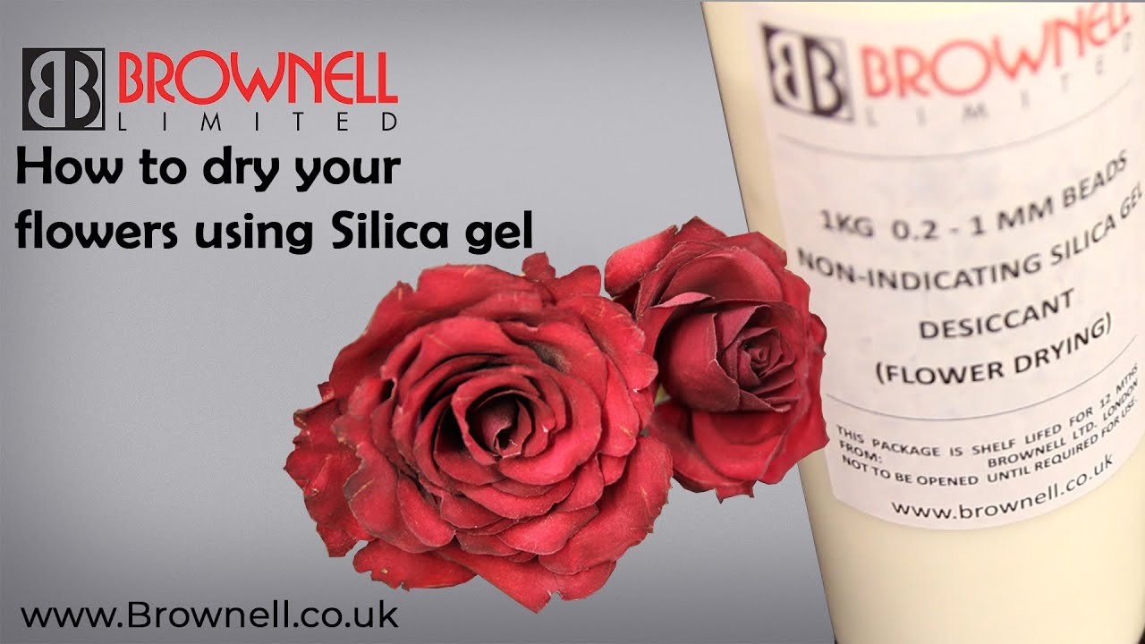 News - How to dry your flowers using Silica Gel