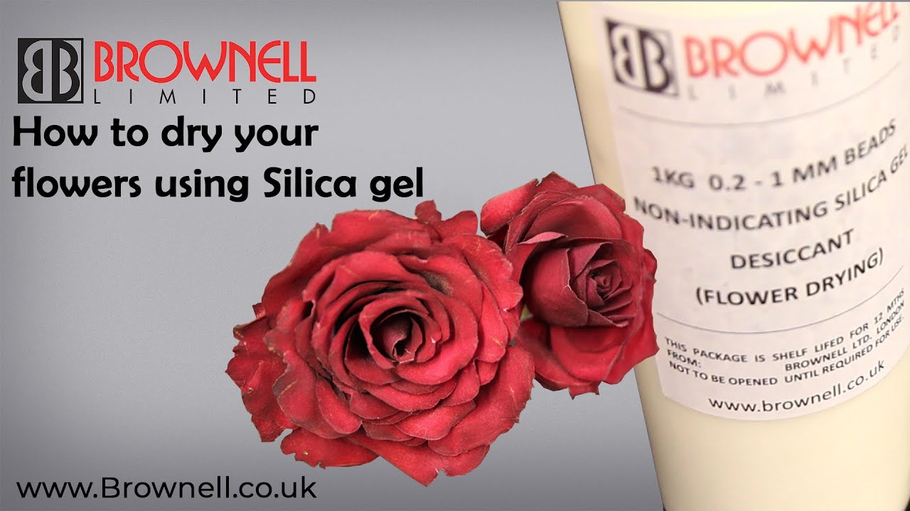 How To Use Silica Gel For Drying Flowers Effectively?