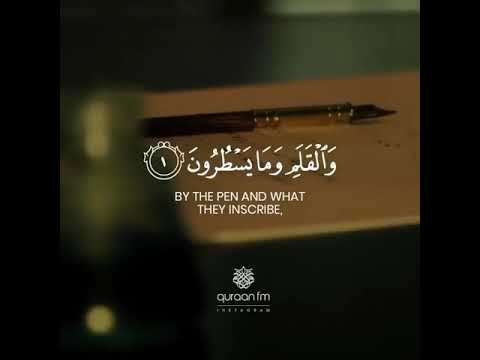 القلم  