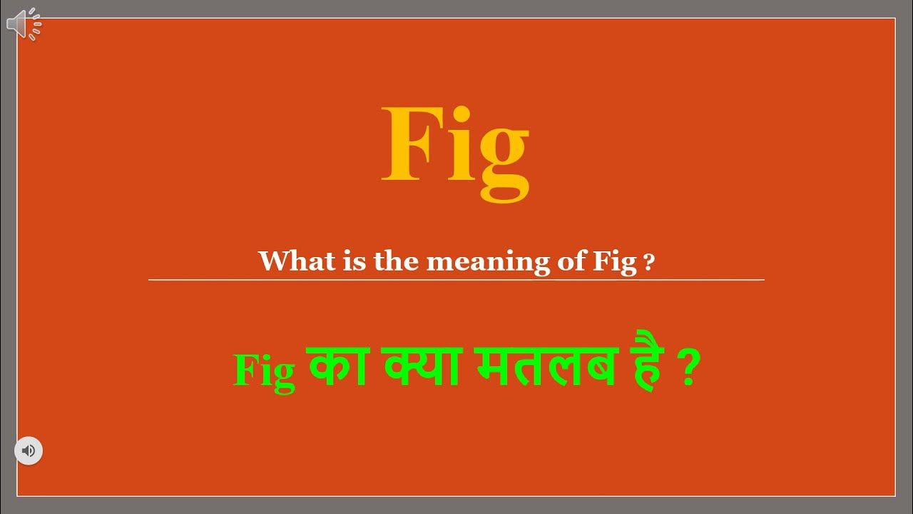 Fig meaning in Hindi Fig ka kya matlab hota hai daily use English