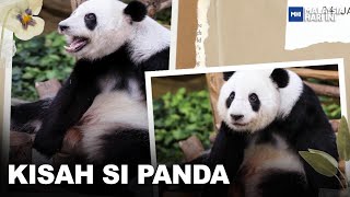 Kisah Si Panda | MHI (6 Jun 2023)