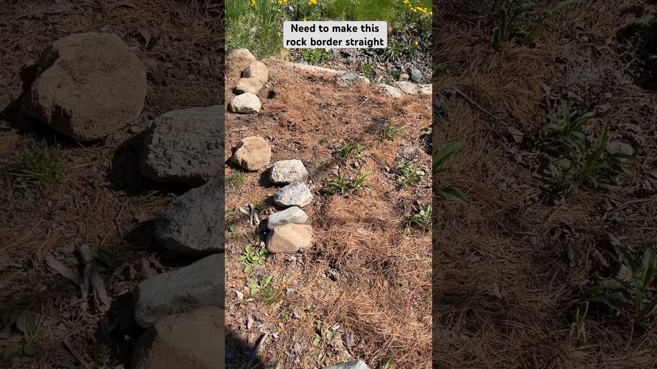 Rocks for garden edging 