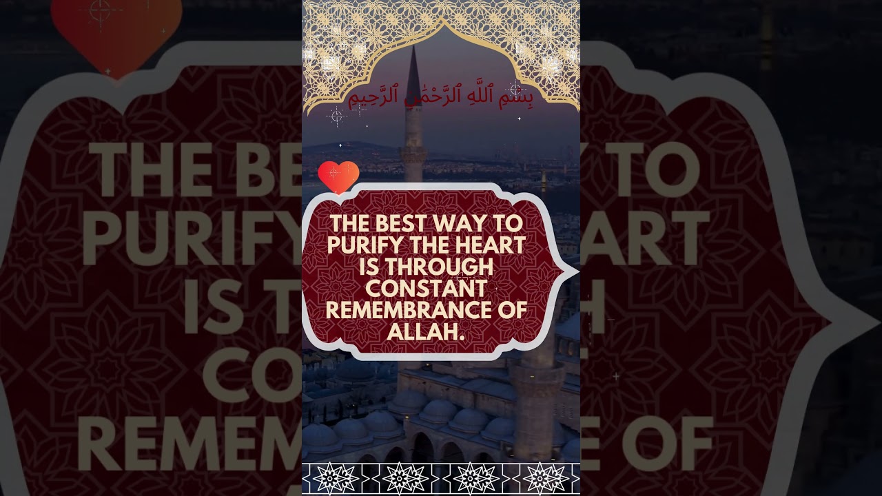 Divine Reflections: An Islamic Quotes Sanctuary - Discover Spiritual Wisdom and Guidance