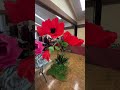 #giantpaperflowers #paperflowers #paperfloristoftiktok #backdroprentals #eventdecor #giantpoppy