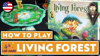 Living Forest 💛 How to Play (US) - M