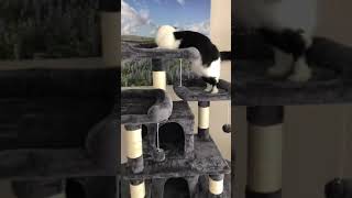 FEANDREA 67-Inch Multi-Level Cat Tree for Large Cats, with Cozy Perches, Stable, Smoky Gray UPCT18G