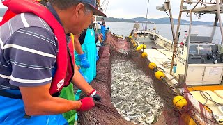 津波で沖に逃げた。77歳石巻の漁師は2トンのサバを獲ってしまう... by 瀬戸内海の漁師まさと 166,539 views 8 months ago 14 minutes, 49 seconds