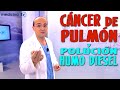 CÁNCER DE PULMÓN y POLUCIÓN AMBIENTAL Y HUMO DE MOTORES DIESEL ¿Aumenta el Riesgo? - Cáncer #39