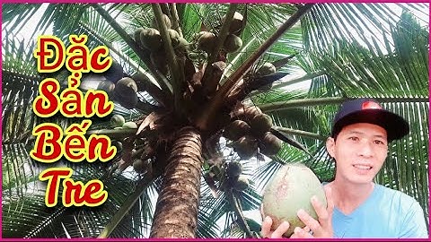 Đặc Sản Bến Tre - Thử Làm Món Dừa Nướng Ba Đốt Thơm Ngon Ngất Ngây | Nét Đẹp Dân Dã #46