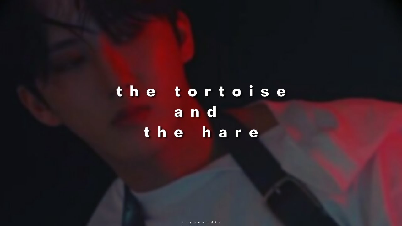 stray kids (skz) - the tortoise and the hare ( 𝙨𝙡𝙤𝙬𝙚𝙙 & 𝙧𝙚𝙫𝙚𝙧𝙗 )