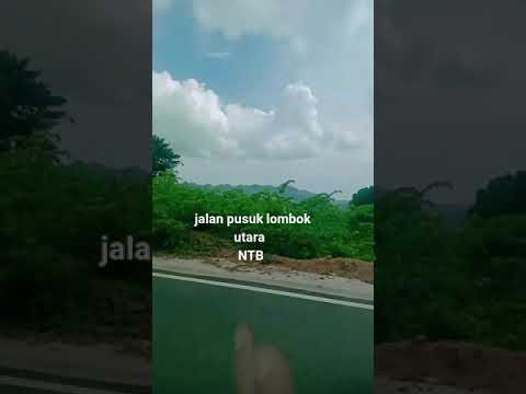klo lewat jalan pusuk serasa jalan di atas awah😲