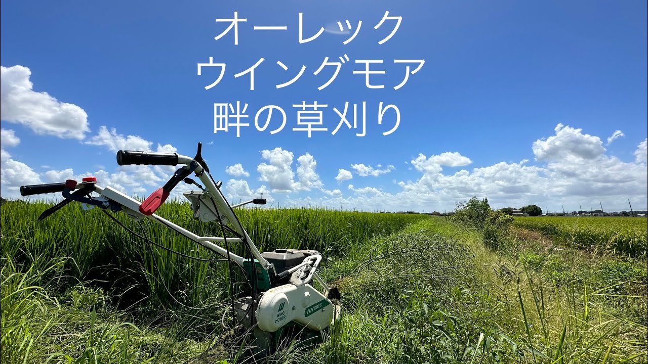 Orec Wing Mower: Mowing Ridge Grass for 2 Days - YouTube