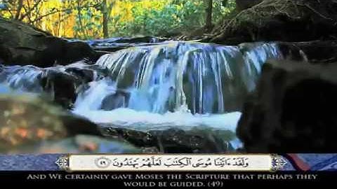 تلاوة رائعة بصوت القارئ محمد المقيط