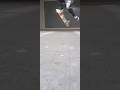 dqy 1 kickflip try. #beginners #skateboarding #skate #skateboard #ollie #fyp #kickflip #fail #skater