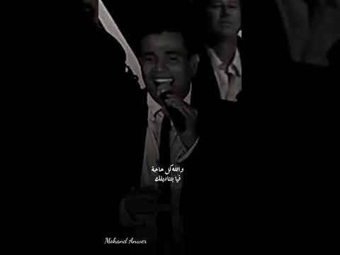 عمرو دياب الليلادي 