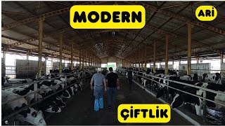 MODERN SÜT İNEĞİ ÇİFTLİĞİ (Günbeyi Süt Ve Besi Çiftliği) screenshot 4