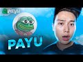 革命的なPAYUプロジェクトをメモコインの世界で探る