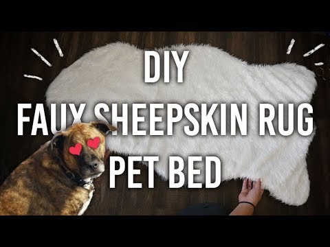 Video: Vai suņiem patīk aitādas paklāji?
