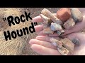 "Rock Hound"
