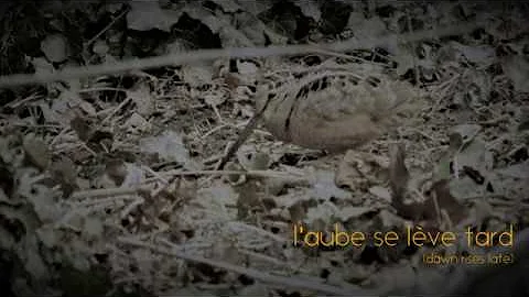 l'aube se lve (dawn rises late)