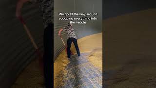 Farm Work In The Extreme Heat