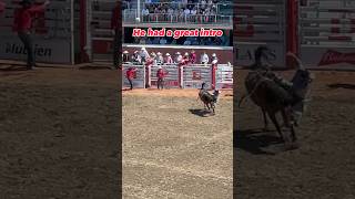 2024 Calgary Stampede bucking horse #calgarystampede #cowboys #buckingbulls #garageking