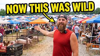 We went to the BIGGEST FLEA MARKET! It was CRAZY!