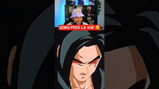 Goku Perd La Vue En Plein Combat ? Dragon Ball Gt