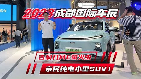 预算10万，买纯电小车，选比亚迪海鸥还是吉利几何E ？ - 天天要闻