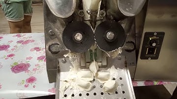 TF-60 Tabletop Automatic Dumpling Machine