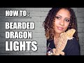 Proper Lighting for Bearded Dragons