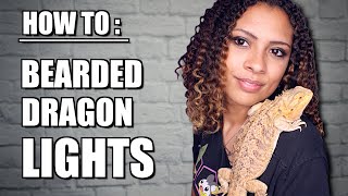 Proper Lighting for Bearded Dragons