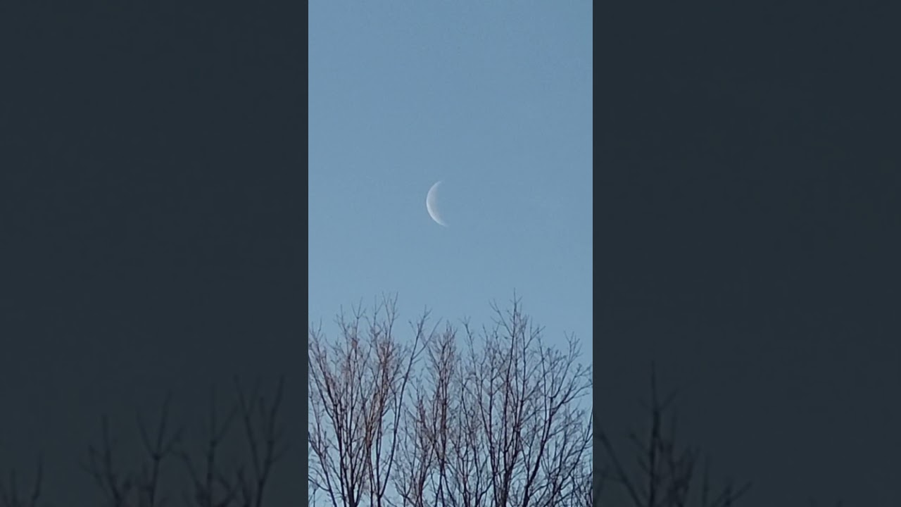 Скоро луна взойдет вместе с солнцем 🌘