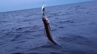 Рыбалка на Ладоге(первый день)🎣🐬🐟, ищем крупного судака.
